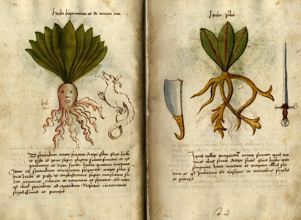 300 antichi codici vicentini della biblioteca bertoliana